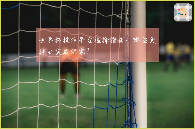 世界杯投注平台选择指南，哪些更适合实战玩家？
