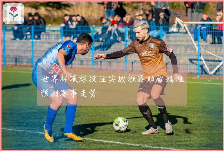 世界杯滚球投注实战推荐助你精准预测赛事走势