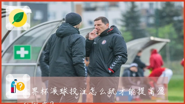 世界杯滚球投注怎么玩才能提高盈利概率？