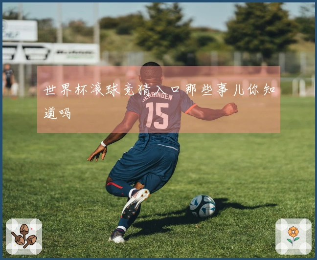 世界杯滚球竞猜入口那些事儿你知道吗