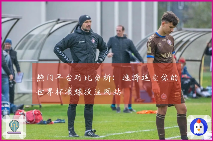 热门平台对比分析：选择适合你的世界杯滚球投注网站