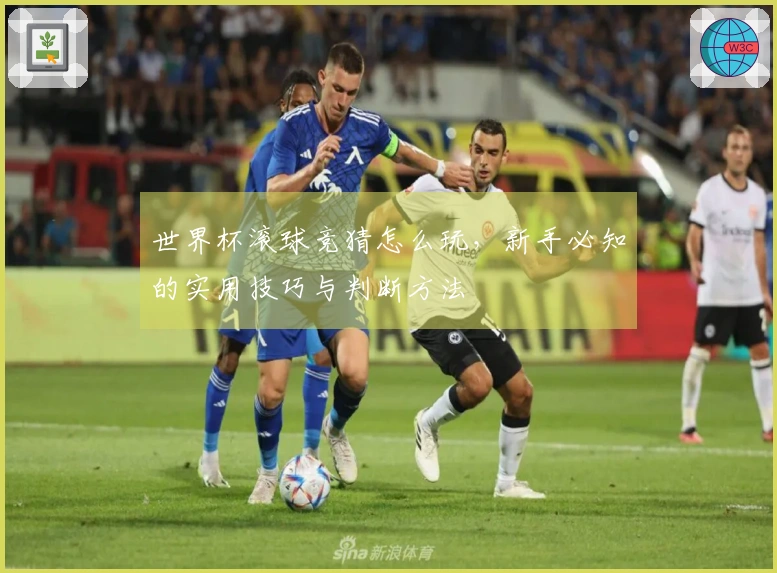 世界杯滚球竞猜怎么玩，新手必知的实用技巧与判断方法