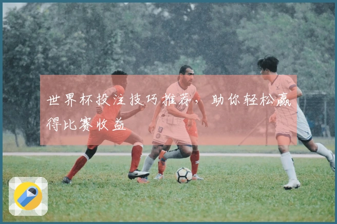 世界杯投注技巧推荐，助你轻松赢得比赛收益