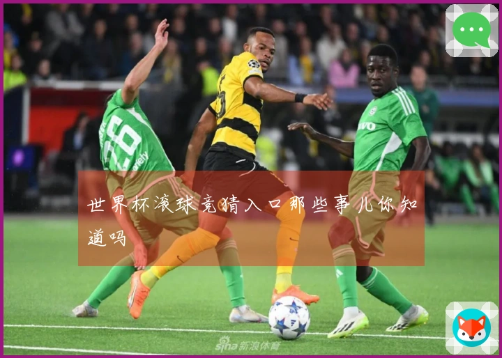 世界杯滚球竞猜入口那些事儿你知道吗