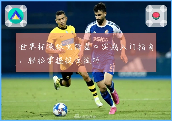 世界杯滚球竞猜盘口实战入门指南，轻松掌握投注技巧